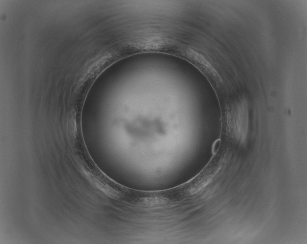 X0000074340541200608251353