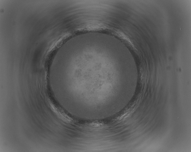 X0000074340542200608251353