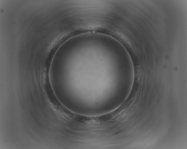 X0000074340544200608251353