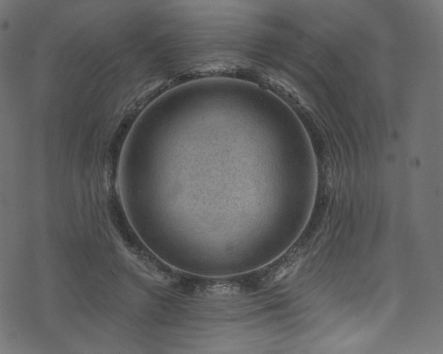 X0000074340546200608251353