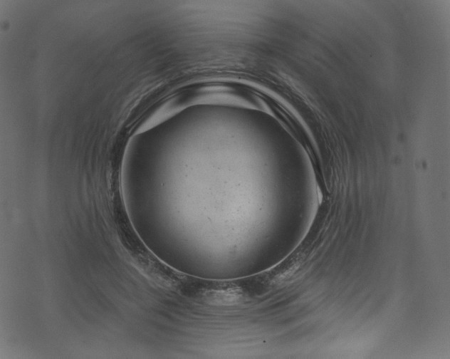 X0000074340548200608251353