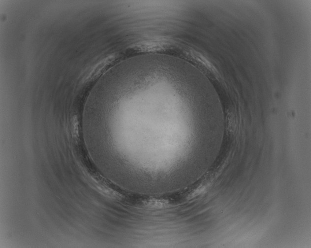 X0000074340549200608251353