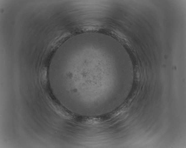 X0000074340550200608251353