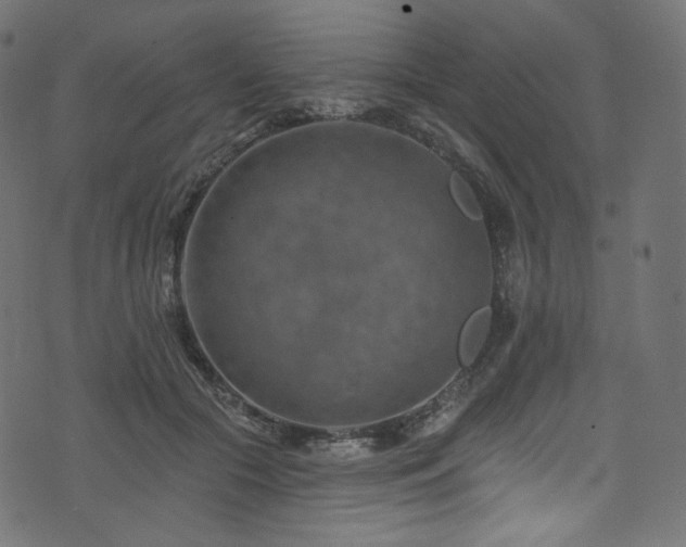 X0000074340553200608251353