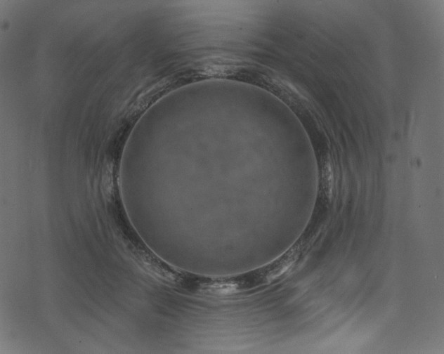 X0000074340554200608251353