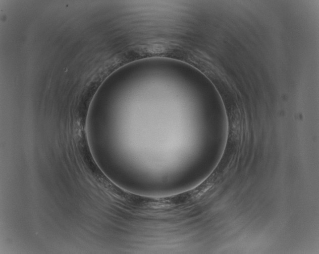 X0000074340555200608251353