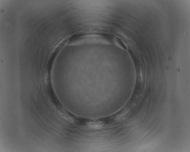 X0000074340556200608251353