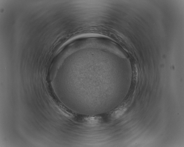 X0000074340558200608251353