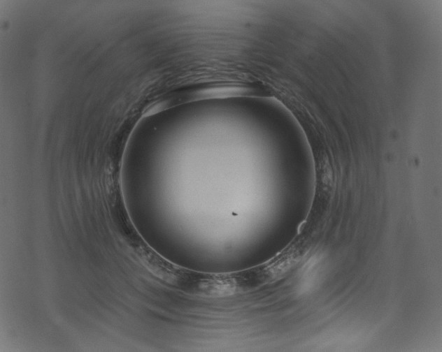 X0000074340559200608251353