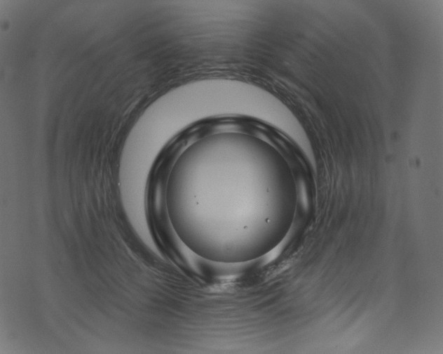 X0000074340560200608251353