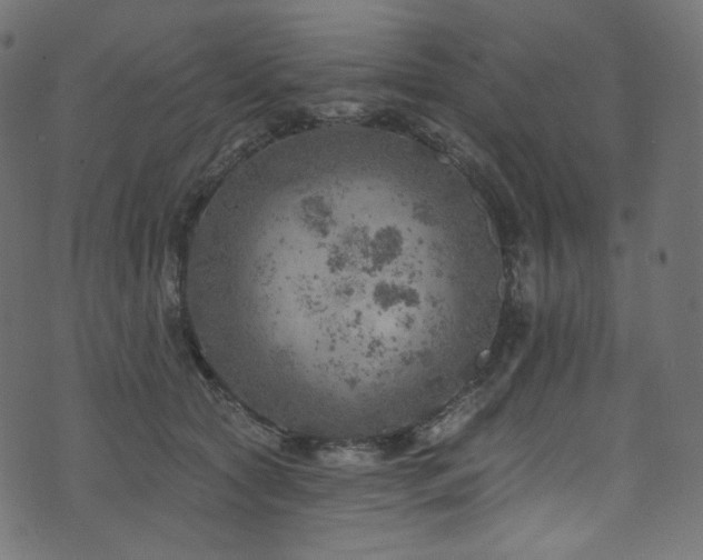 X0000074340561200608251353