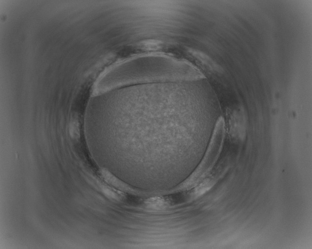 X0000074340562200608251354