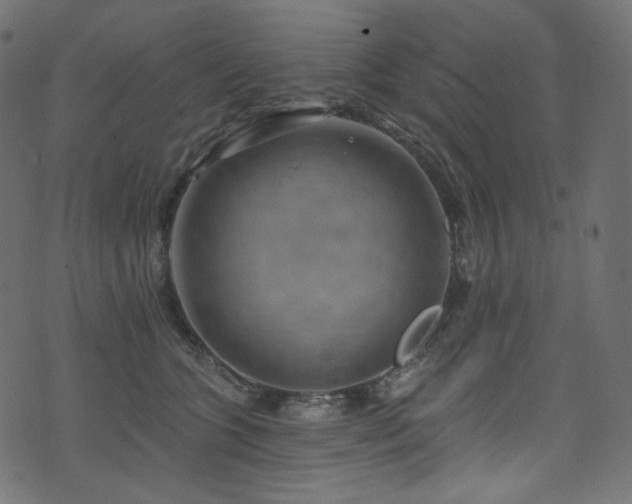 X0000074340563200608251354