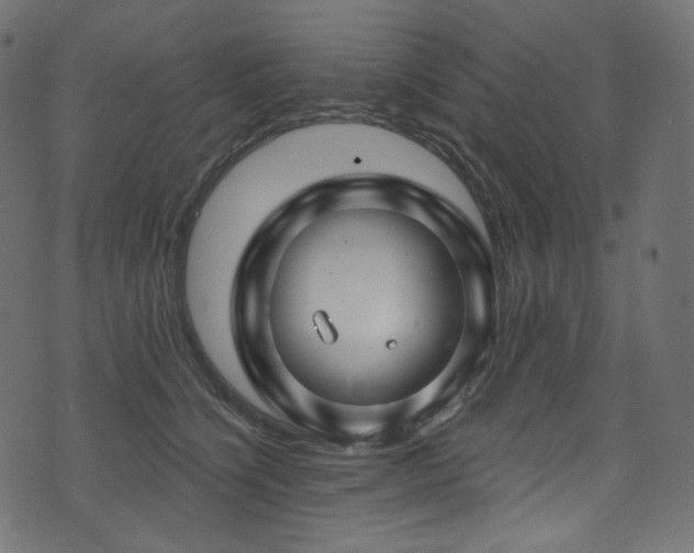 X0000074340564200608251354