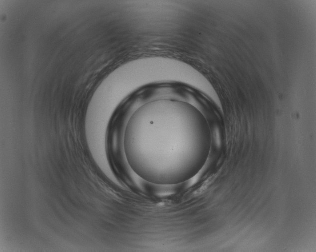 X0000074340566200608251354