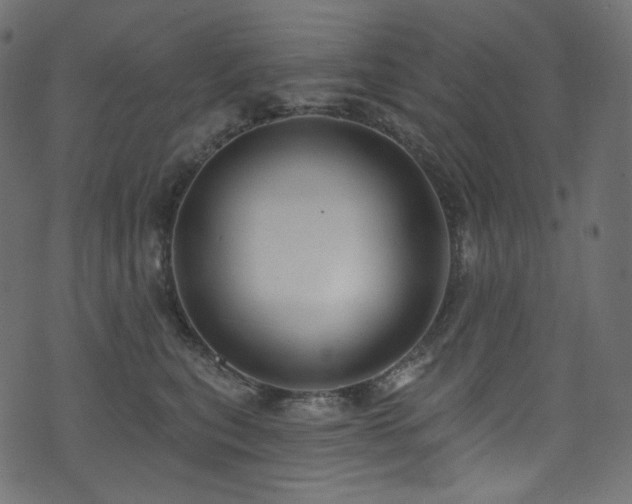 X0000074340567200608251354