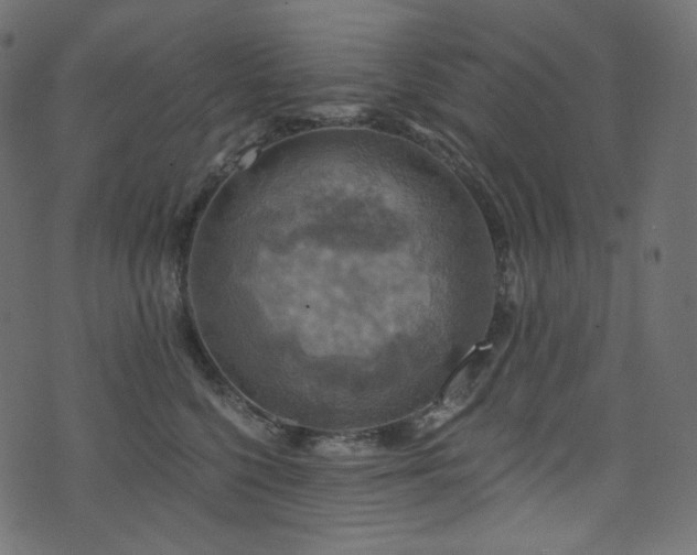 X0000074340568200608251354