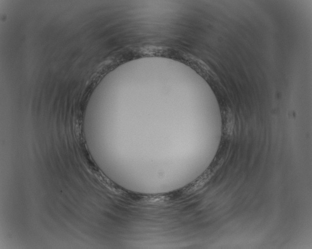 X0000074340569200608251354