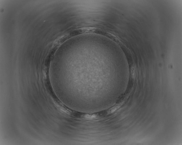 X0000074340570200608251354