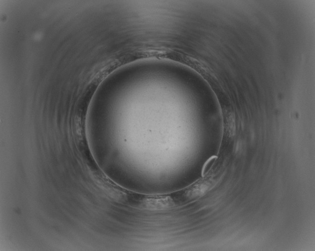 X0000074340571200608251354