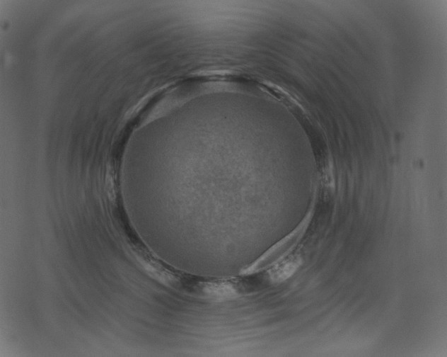 X0000074340572200608251354