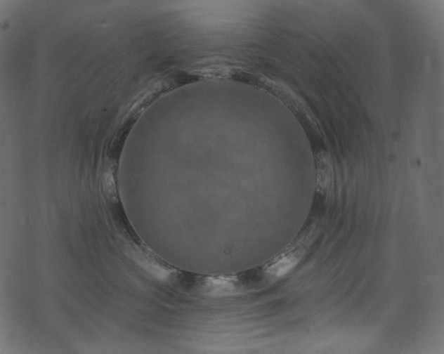 X0000074340573200608251354