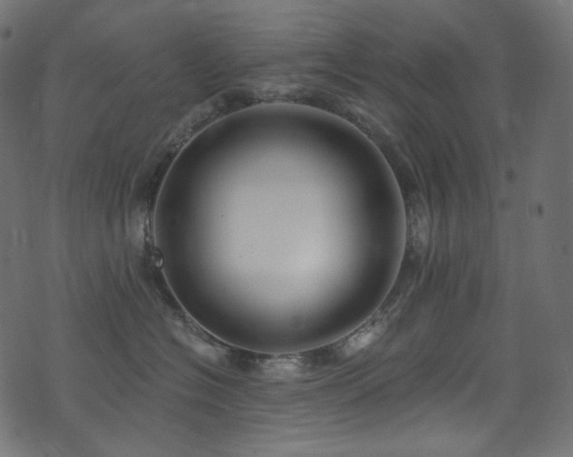 X0000074340574200608251354