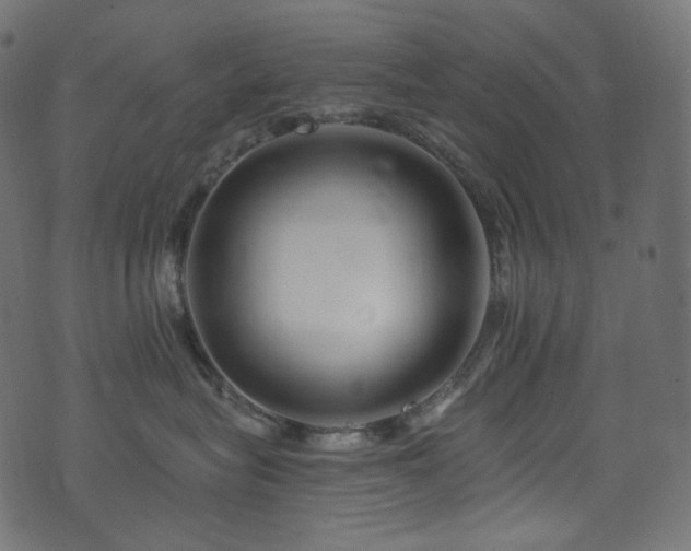 X0000074340575200608251354