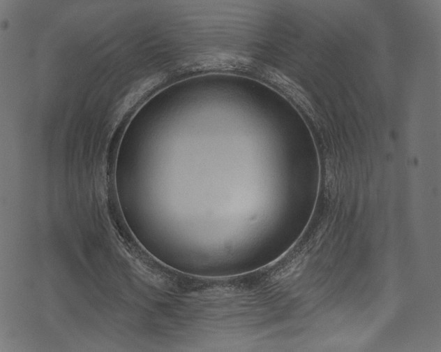 X0000074340578200608251353