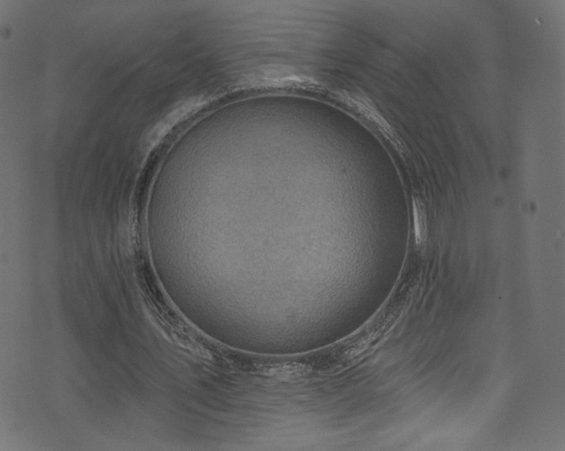 X0000074340579200608251353