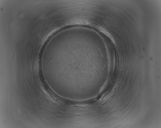 X0000074340580200608251353