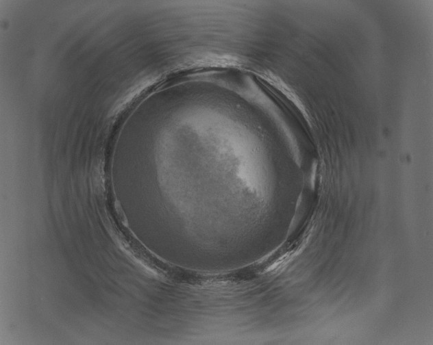 X0000074340581200608251353