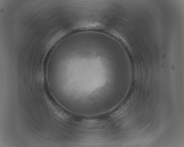 X0000074340582200608251353