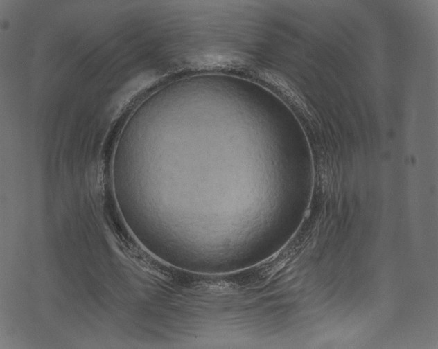 X0000074340583200608251353