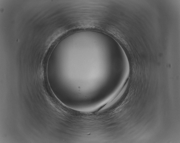 X0000074340584200608251353