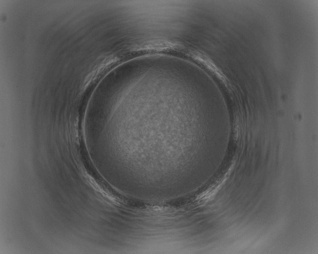 X0000074340585200608251353