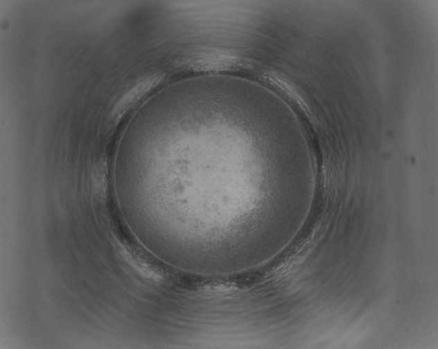 X0000074340586200608251353