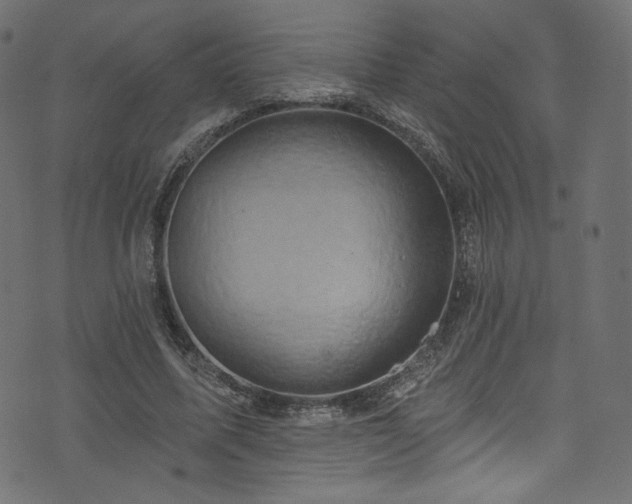 X0000074340587200608251353