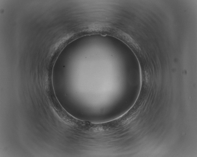 X0000074340588200608251353