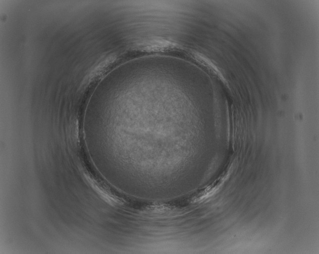 X0000074340589200608251353