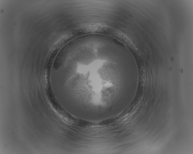 X0000074340590200608251353