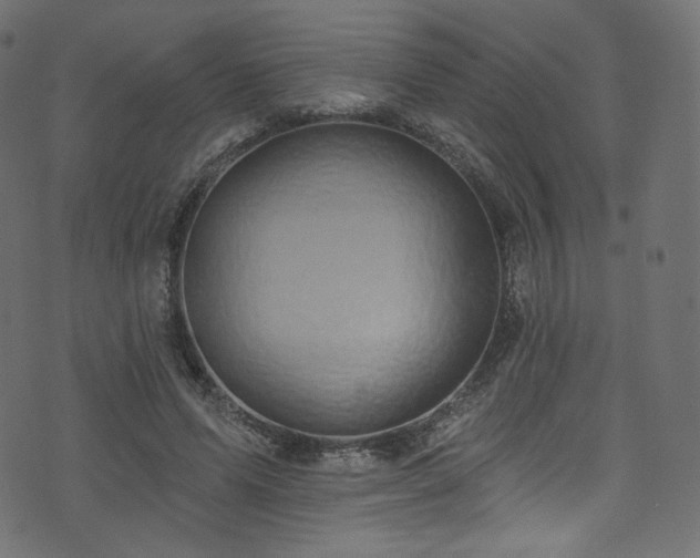 X0000074340591200608251353