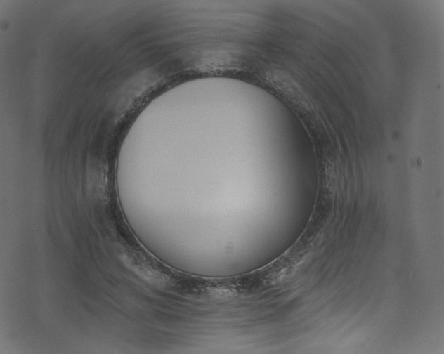 X0000074340592200608251353