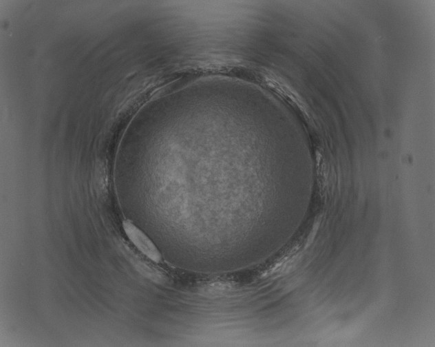 X0000074340593200608251353