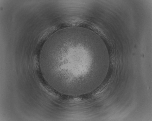 X0000074340594200608251353