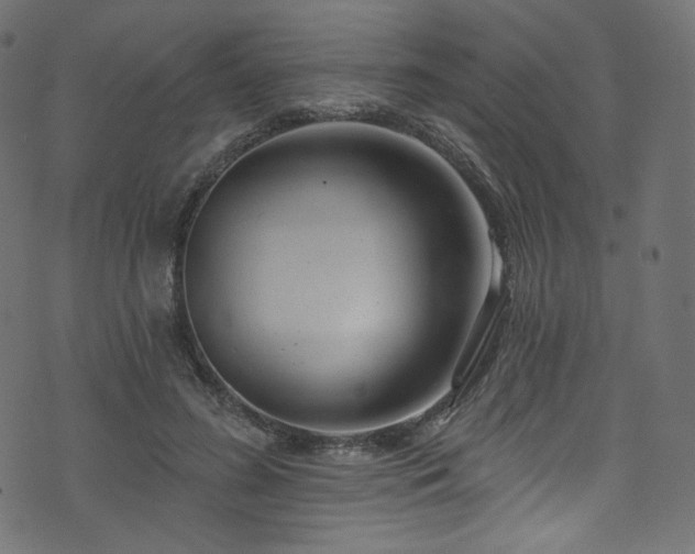 X0000074340596200608251353