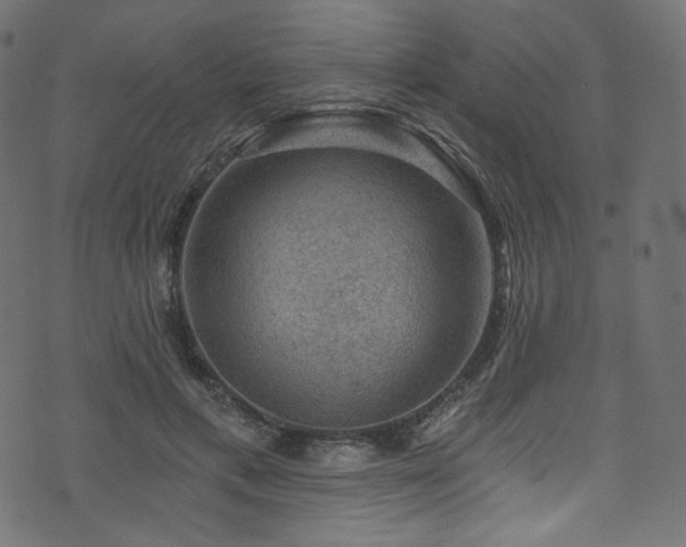 X0000074340597200608251353