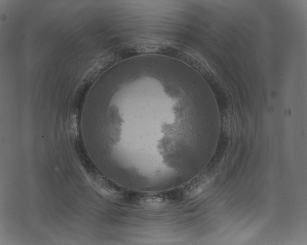 X0000074340598200608251353