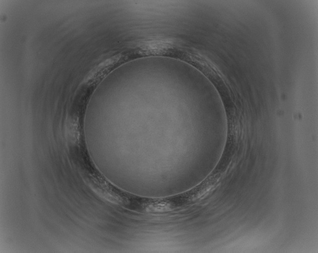 X0000074340599200608251353