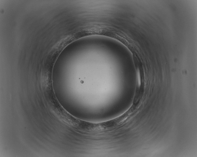 X0000074340600200608251353